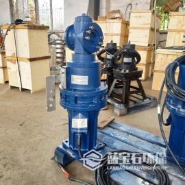缺氧池潛水推流器 循環(huán)水處理攪拌機(jī)QJB藍(lán)寶石環(huán)保