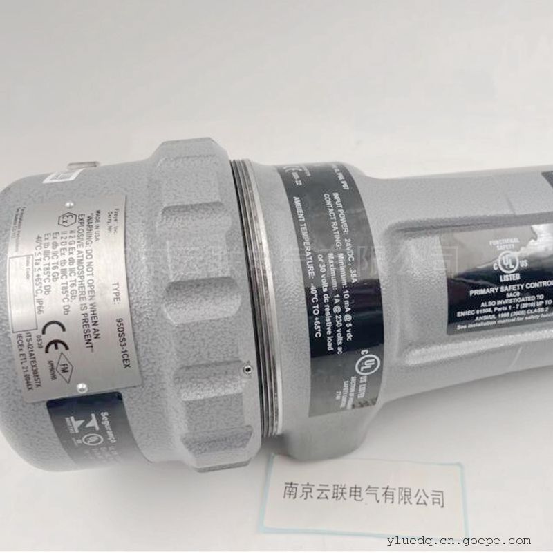 Fireye 火焰检测器 95DSS3 