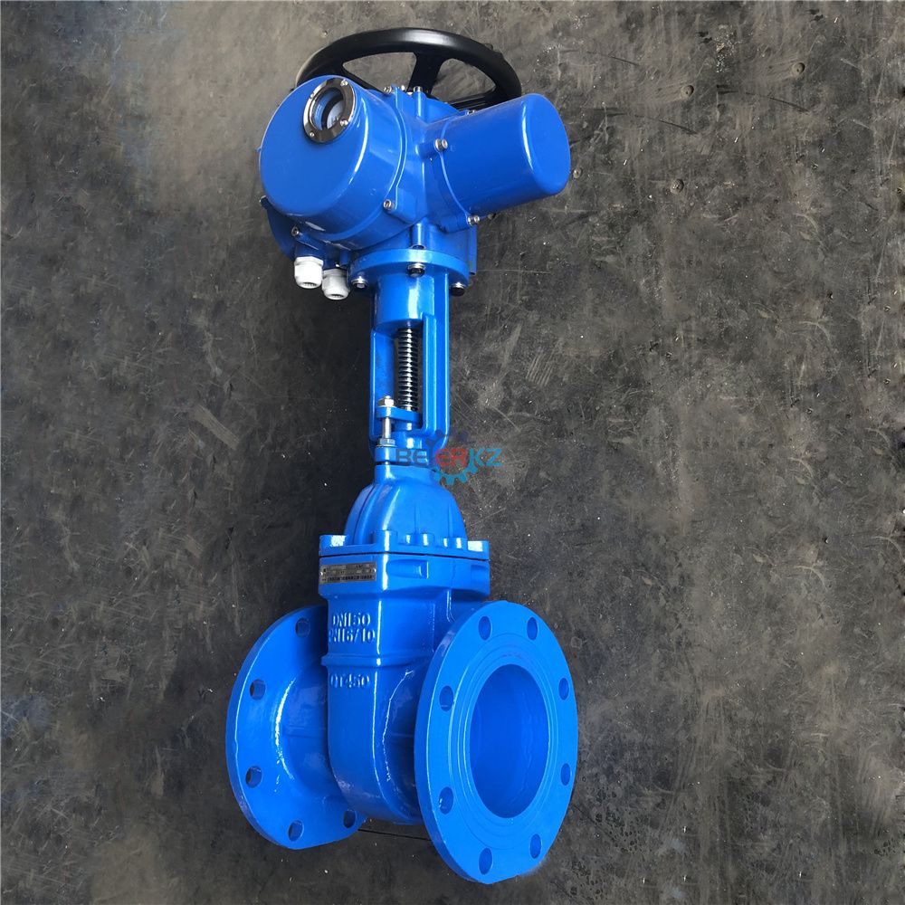 BERREDZW60开关隔爆型阀门电动装置