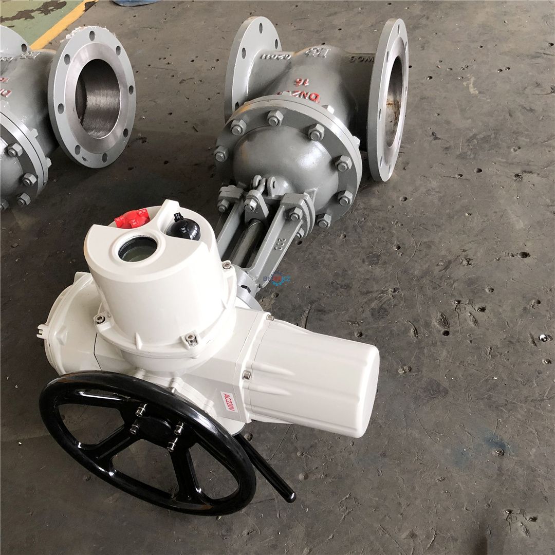 BERRE智能一体化隔爆型阀门电动执行机构DZW60-24B